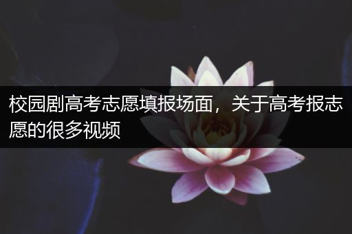 校园剧高考志愿填报场面，关于高考报志愿的很多视频