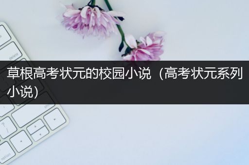 草根高考状元的校园小说（高考状元系列小说）