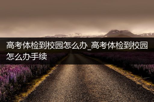 高考体检到校园怎么办_高考体检到校园怎么办手续