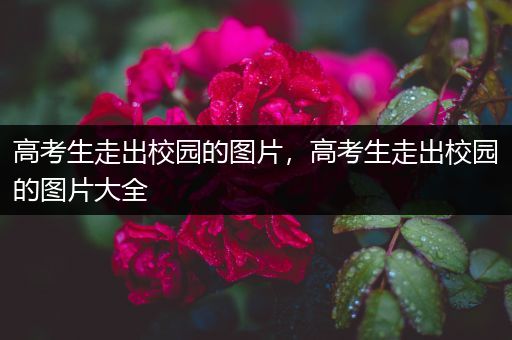 高考生走出校园的图片，高考生走出校园的图片大全