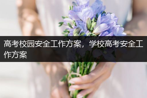 高考校园安全工作方案，学校高考安全工作方案