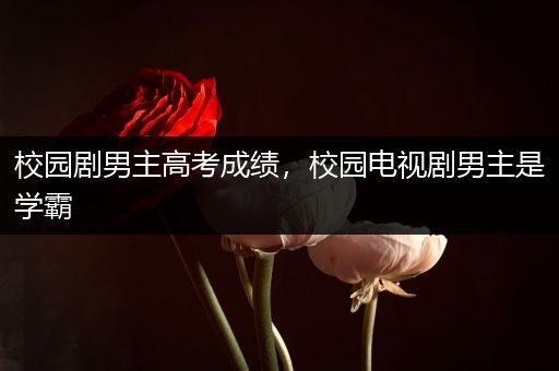 校园剧男主高考成绩，校园电视剧男主是学霸