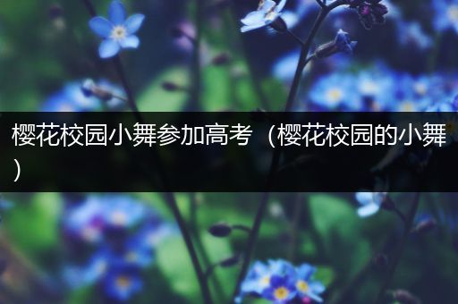 樱花校园小舞参加高考（樱花校园的小舞）