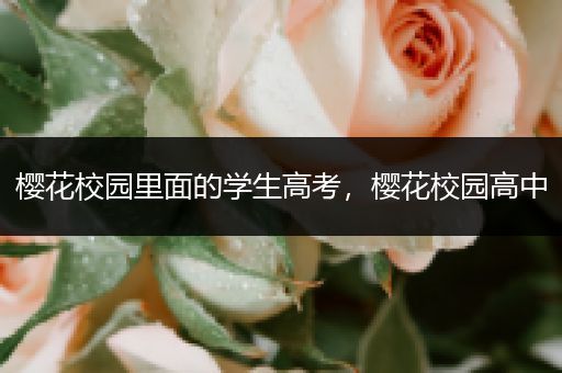 樱花校园里面的学生高考，樱花校园高中