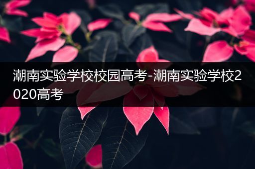 潮南实验学校校园高考-潮南实验学校2020高考