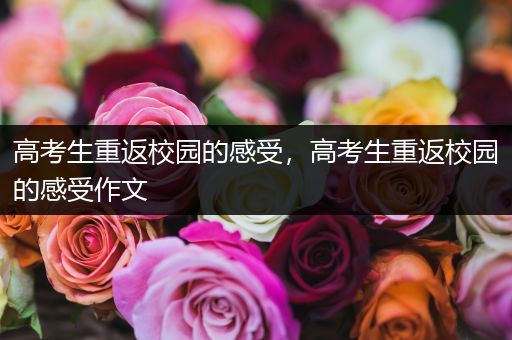 高考生重返校园的感受，高考生重返校园的感受作文