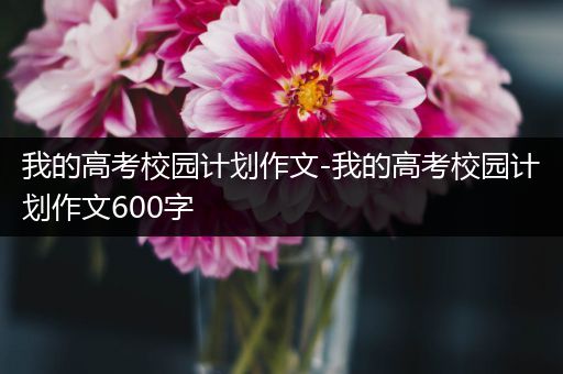 我的高考校园计划作文-我的高考校园计划作文600字