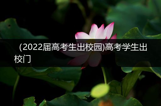 （2022届高考生出校园)高考学生出校门