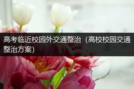 高考临近校园外交通整治（高校校园交通整治方案）