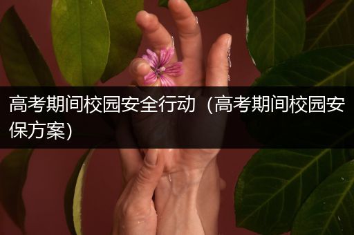 高考期间校园安全行动（高考期间校园安保方案）