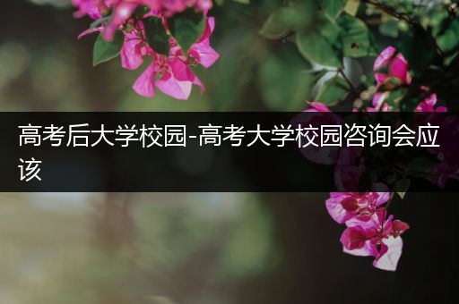 高考后大学校园-高考大学校园咨询会应该