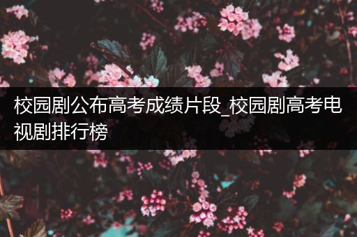 校园剧公布高考成绩片段_校园剧高考电视剧排行榜