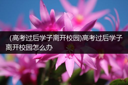 （高考过后学子离开校园)高考过后学子离开校园怎么办