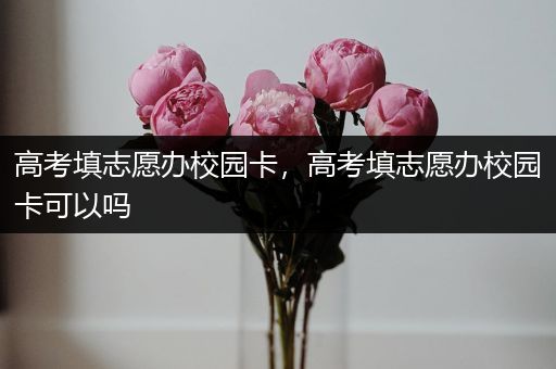 高考填志愿办校园卡，高考填志愿办校园卡可以吗