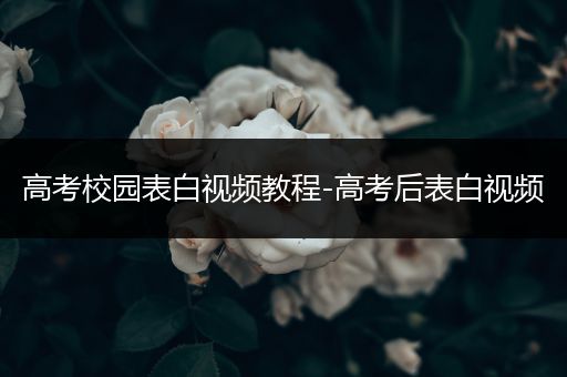 高考校园表白视频教程-高考后表白视频