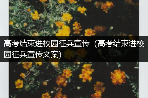 高考结束进校园征兵宣传（高考结束进校园征兵宣传文案）