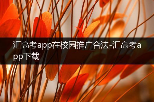 汇高考app在校园推广合法-汇高考app下载