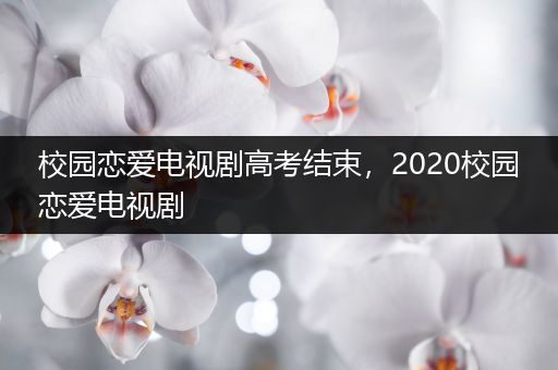 校园恋爱电视剧高考结束，2020校园恋爱电视剧