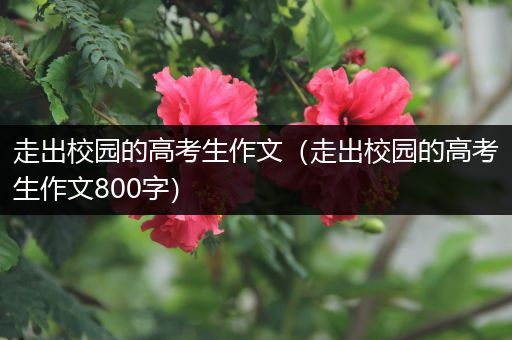 走出校园的高考生作文（走出校园的高考生作文800字）