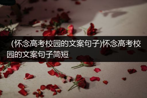 （怀念高考校园的文案句子)怀念高考校园的文案句子简短