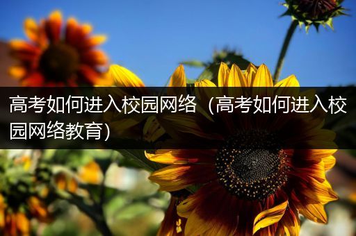 高考如何进入校园网络（高考如何进入校园网络教育）