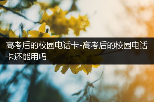 高考后的校园电话卡-高考后的校园电话卡还能用吗