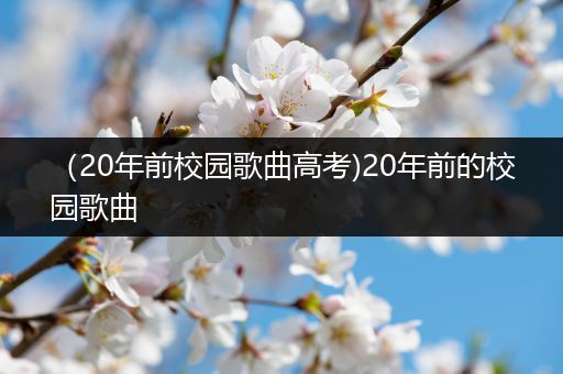 （20年前校园歌曲高考)20年前的校园歌曲