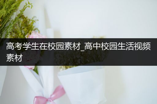 高考学生在校园素材_高中校园生活视频素材