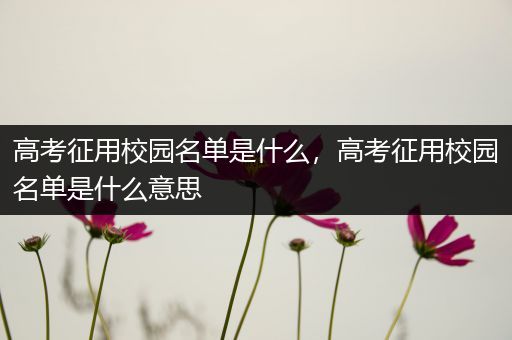 高考征用校园名单是什么，高考征用校园名单是什么意思