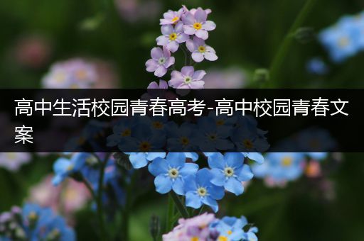 高中生活校园青春高考-高中校园青春文案