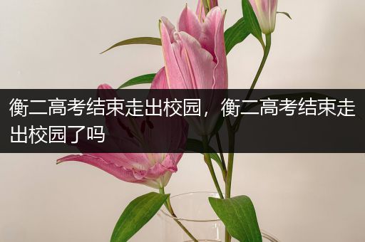 衡二高考结束走出校园，衡二高考结束走出校园了吗