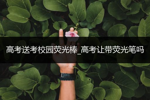 高考送考校园荧光棒_高考让带荧光笔吗