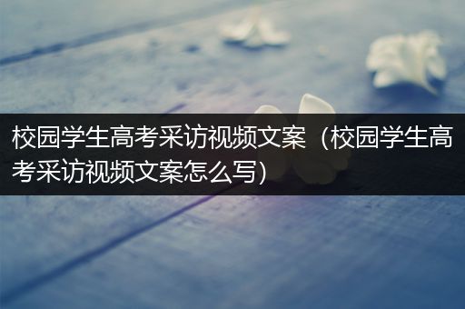 校园学生高考采访视频文案（校园学生高考采访视频文案怎么写）