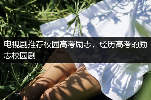 电视剧推荐校园高考励志，经历高考的励志校园剧