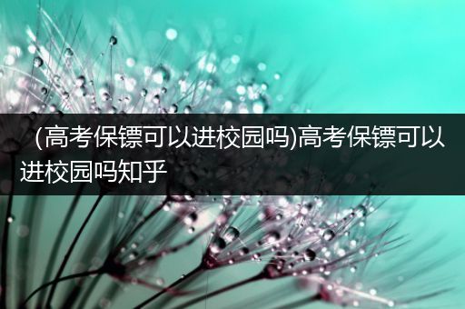 （高考保镖可以进校园吗)高考保镖可以进校园吗知乎