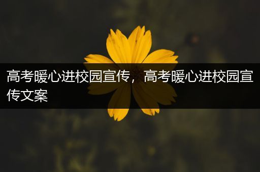 高考暖心进校园宣传，高考暖心进校园宣传文案