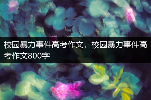 校园暴力事件高考作文，校园暴力事件高考作文800字