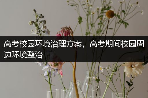 高考校园环境治理方案，高考期间校园周边环境整治