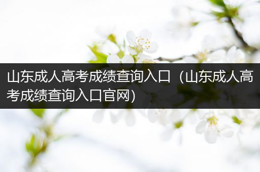 山东成人高考成绩查询入口（山东成人高考成绩查询入口官网）