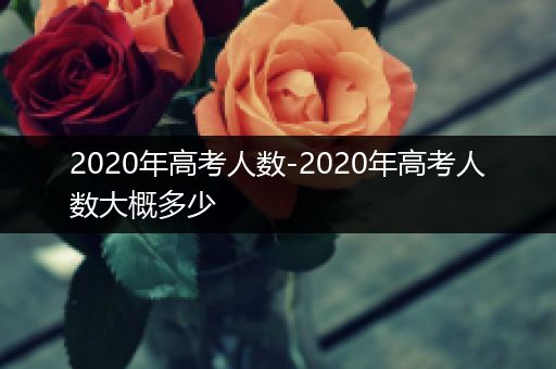 2020年高考人数-2020年高考人数大概多少