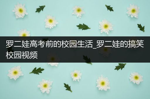 罗二娃高考前的校园生活_罗二娃的搞笑校园视频