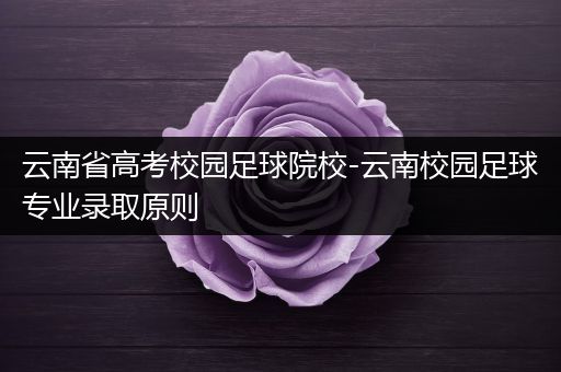 云南省高考校园足球院校-云南校园足球专业录取原则