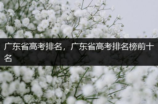 广东省高考排名，广东省高考排名榜前十名