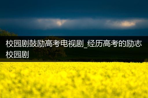 校园剧鼓励高考电视剧_经历高考的励志校园剧