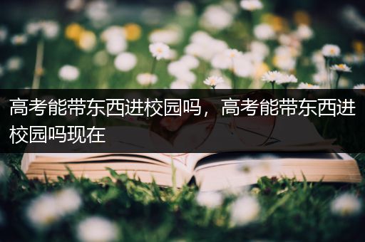 高考能带东西进校园吗，高考能带东西进校园吗现在