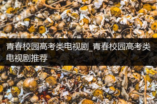 青春校园高考类电视剧_青春校园高考类电视剧推荐