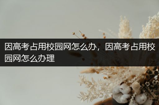 因高考占用校园网怎么办，因高考占用校园网怎么办理