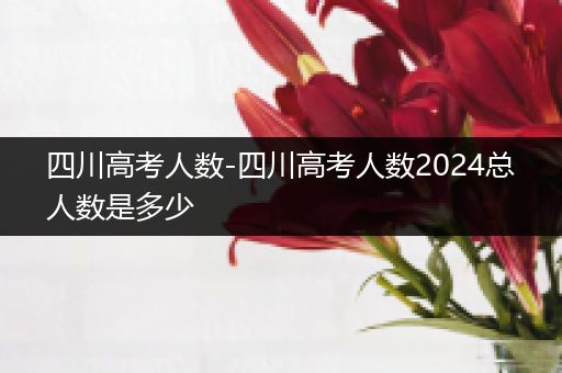 四川高考人数-四川高考人数2024总人数是多少