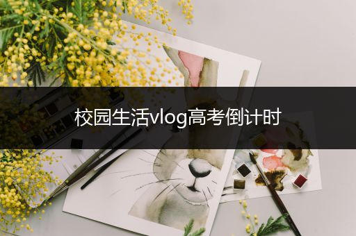 校园生活vlog高考倒计时