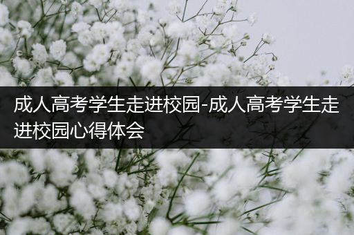 成人高考学生走进校园-成人高考学生走进校园心得体会